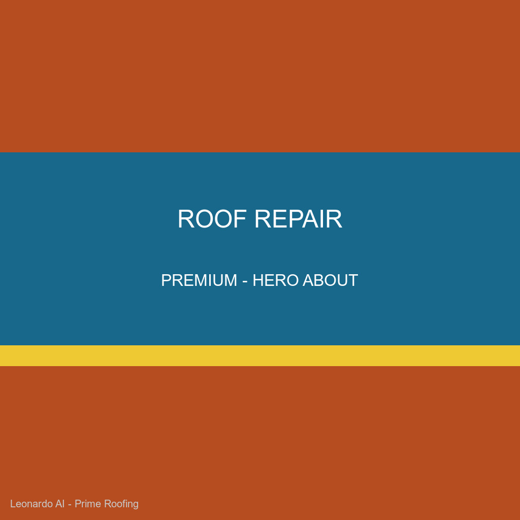Expert roof repair professional